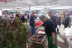 DSC03135.jpg